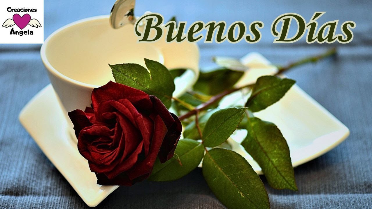 buenos dias con desayuno y flores