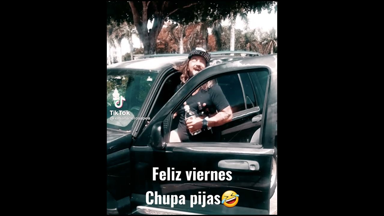 chistoso feliz viernes divertidos