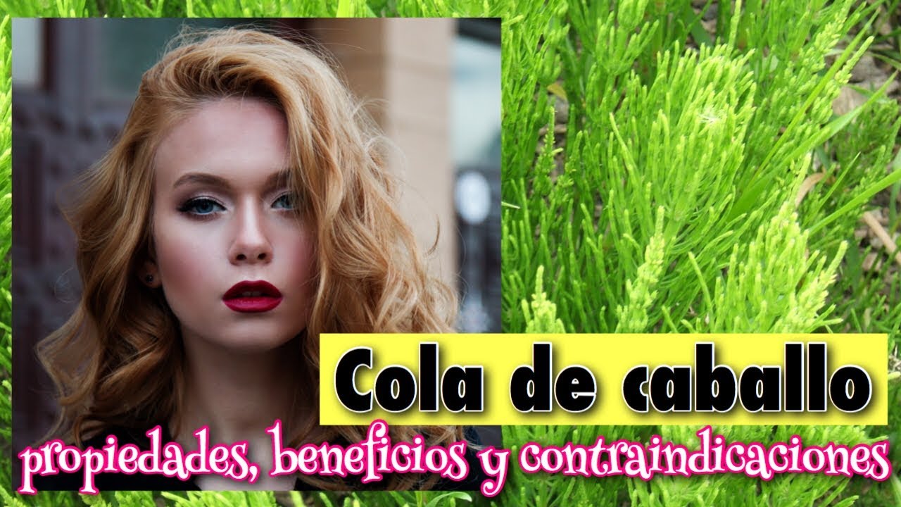 cola de caballo y diente de león mercadona