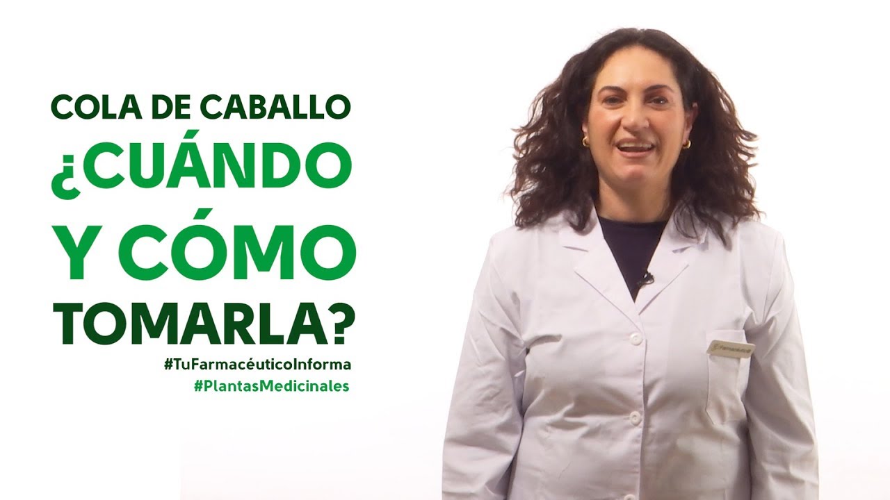cuando tomar cola de caballo antes o despues de comer