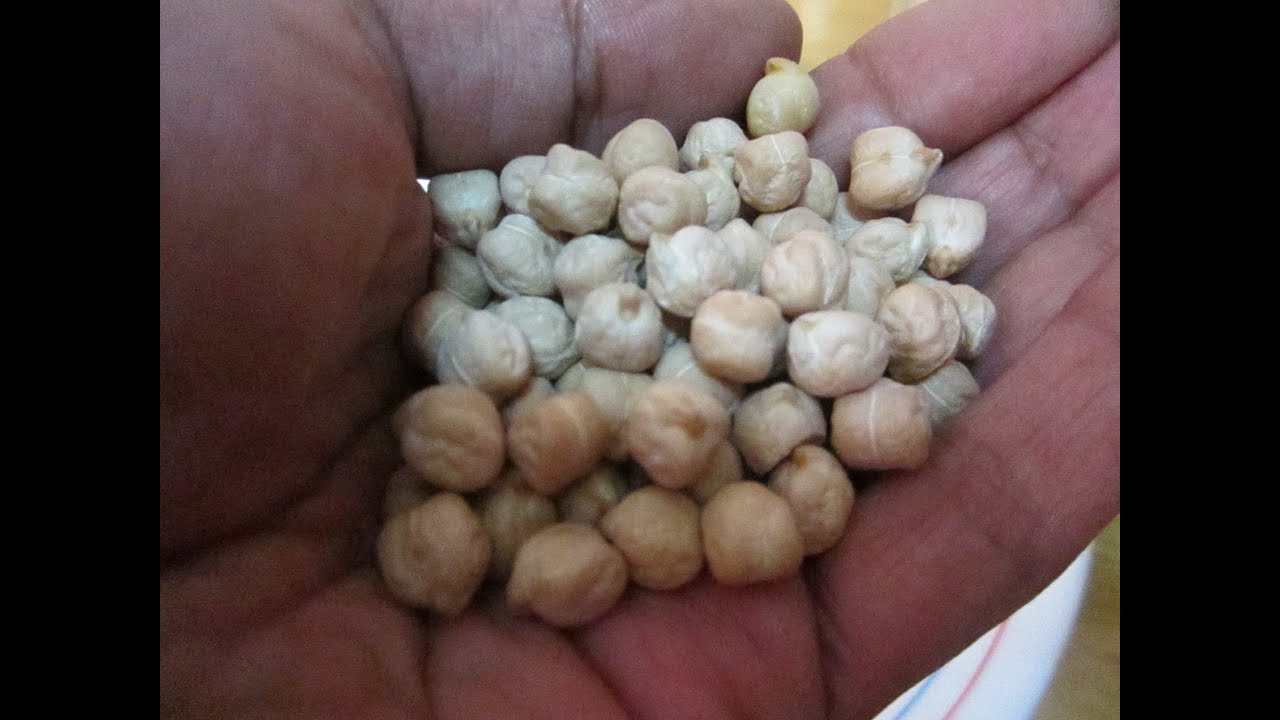 cuantos garbanzos por persona