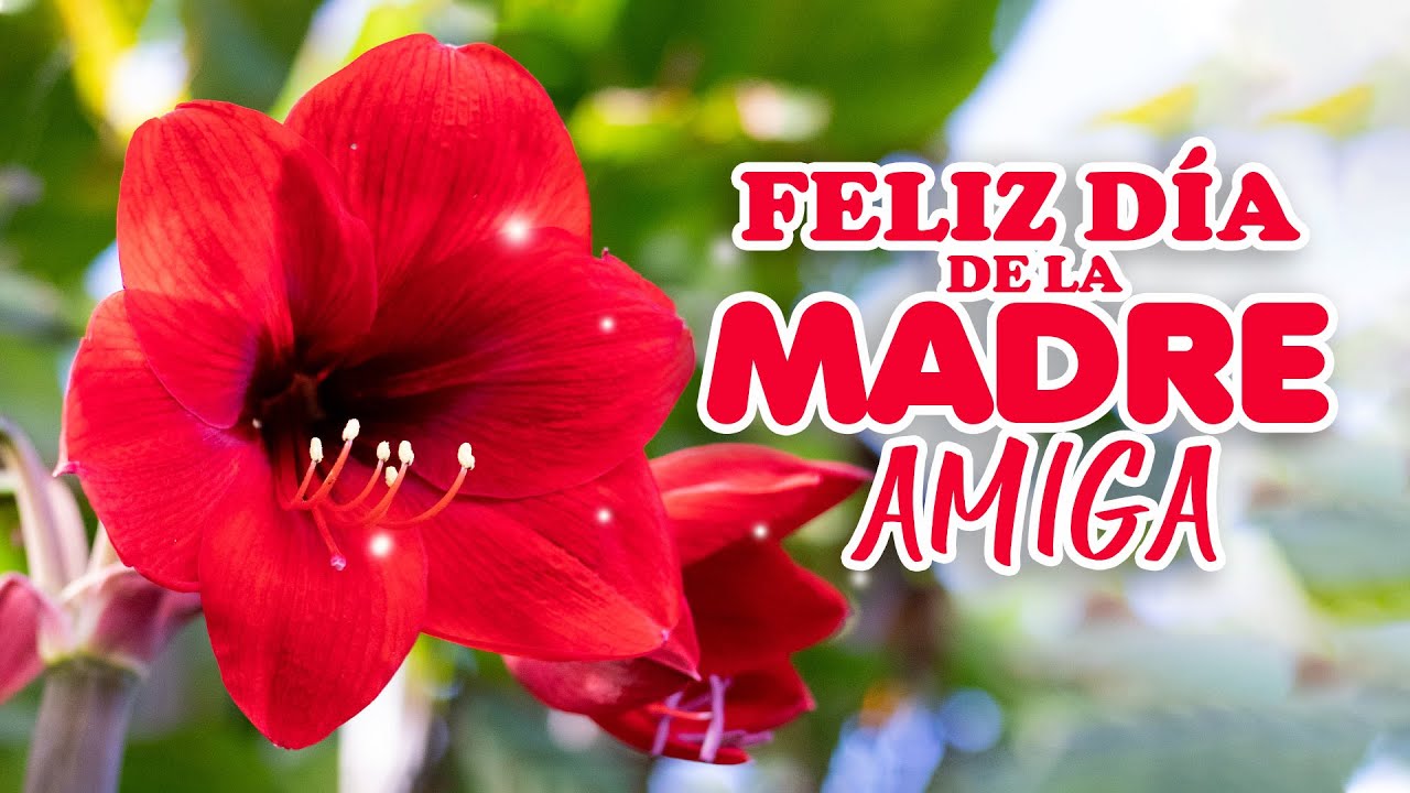 feliz dia de la madre amiga