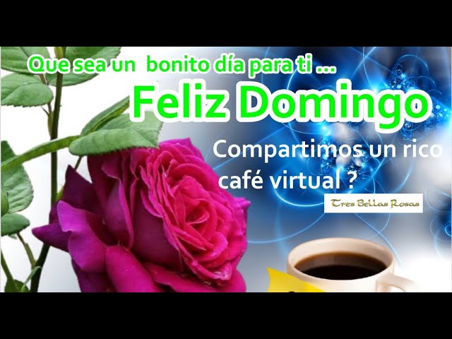 feliz domingo con flores y cafe