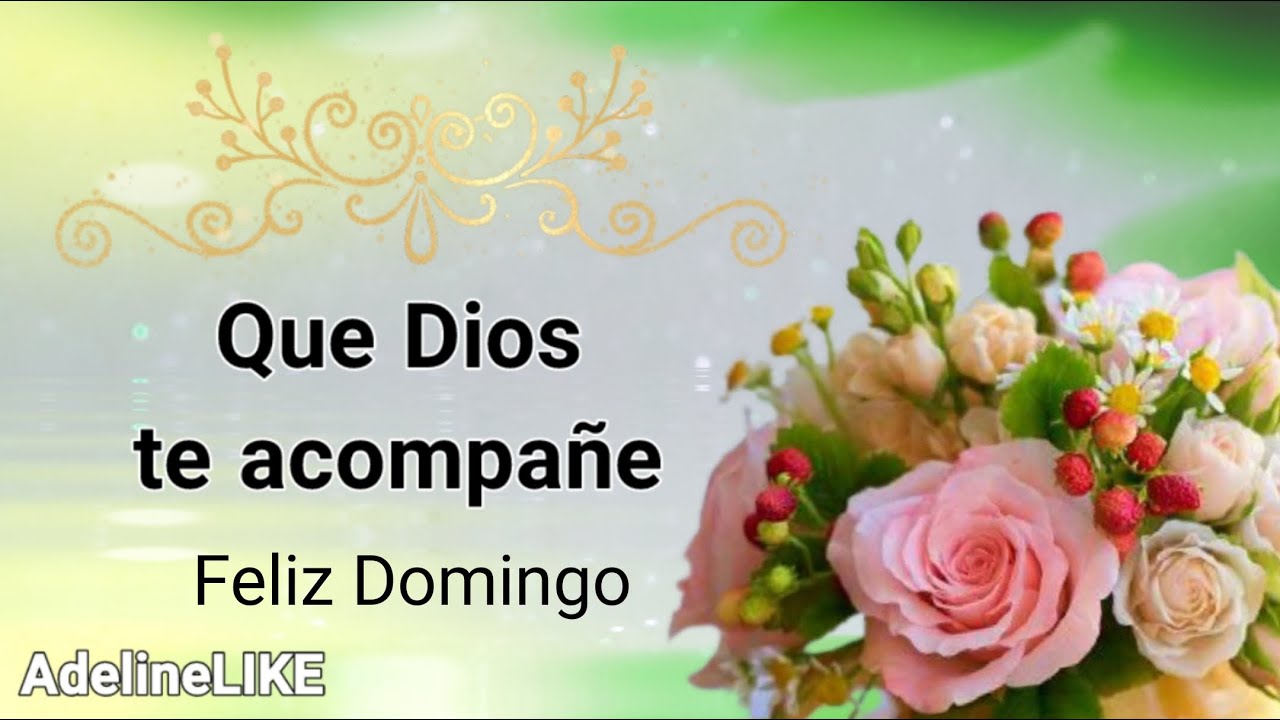 feliz domingo con flores