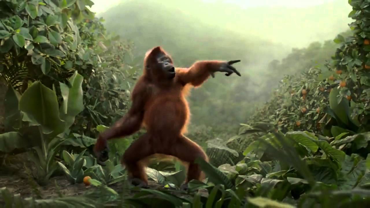 feliz inicio de semana gracioso