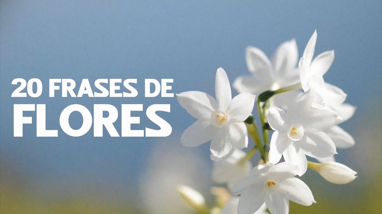flores con frases bonitas