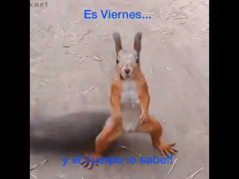 por fin viernes gracioso