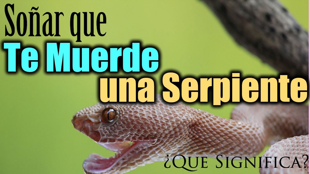 soñar que una serpiente te muerde la mano