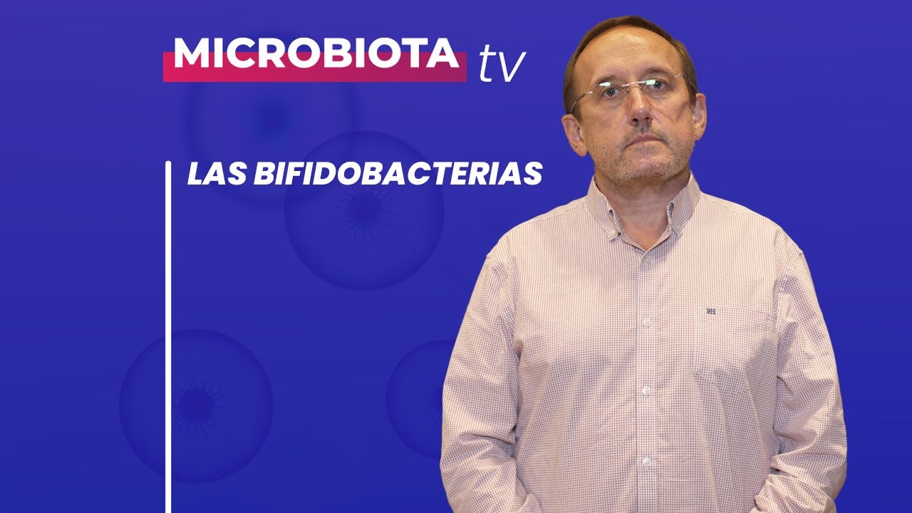 bifidus que es