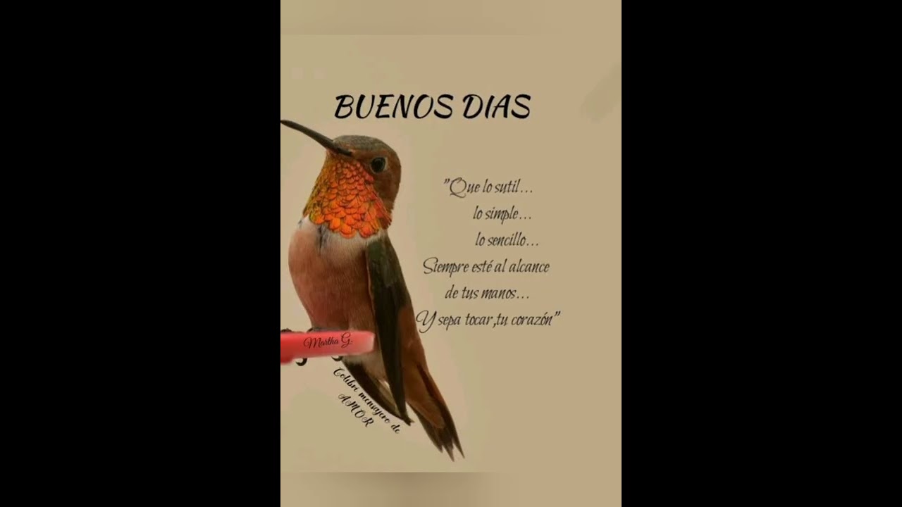 bonito viernes