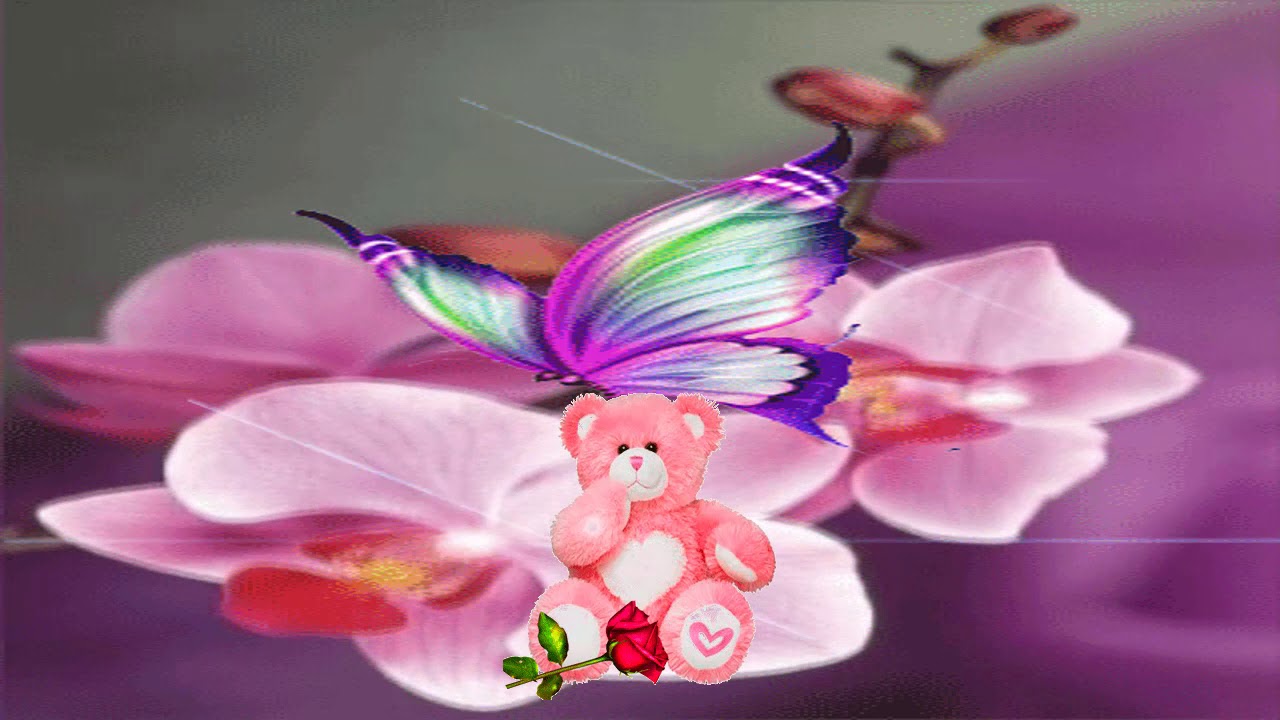 buenas noches con mariposas y flores