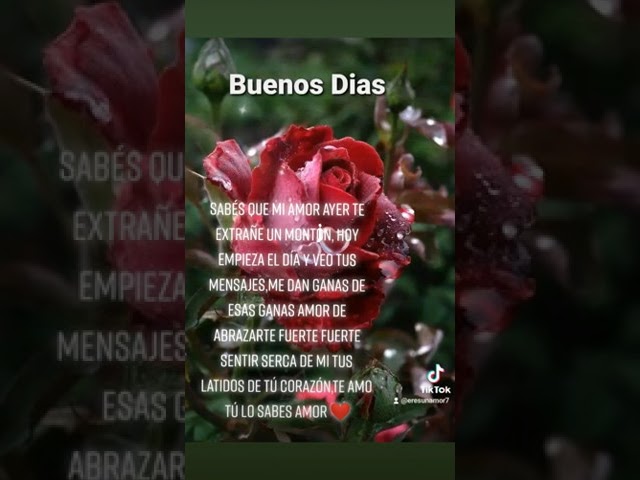 buenos dias con lluvia y flores