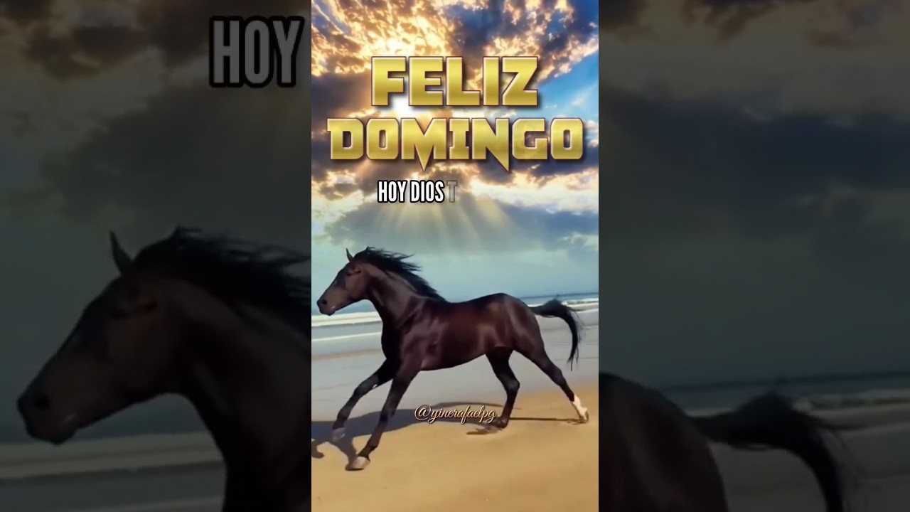 buenos dias domingos
