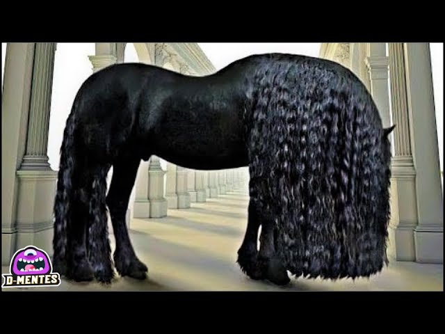 caballos mas hermosos