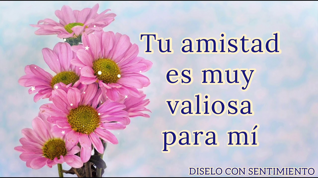 carta para una amiga de verdad