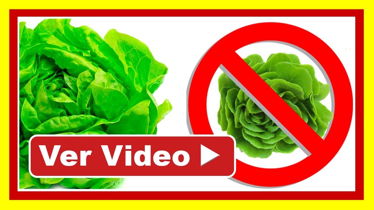 cenar lechuga por la noche