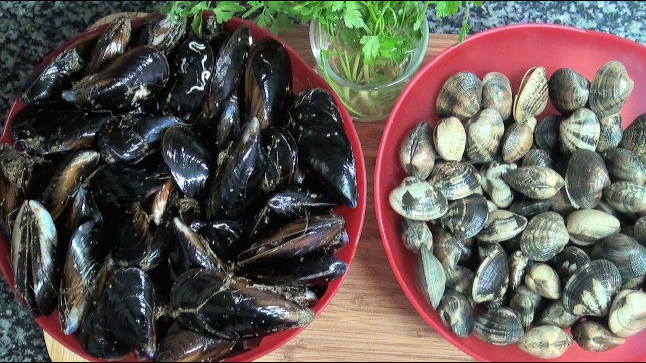 como conservar los mejillones frescos