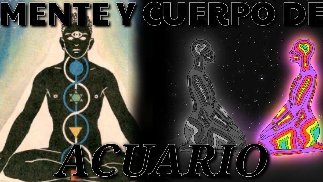 como es un acuario en la cama