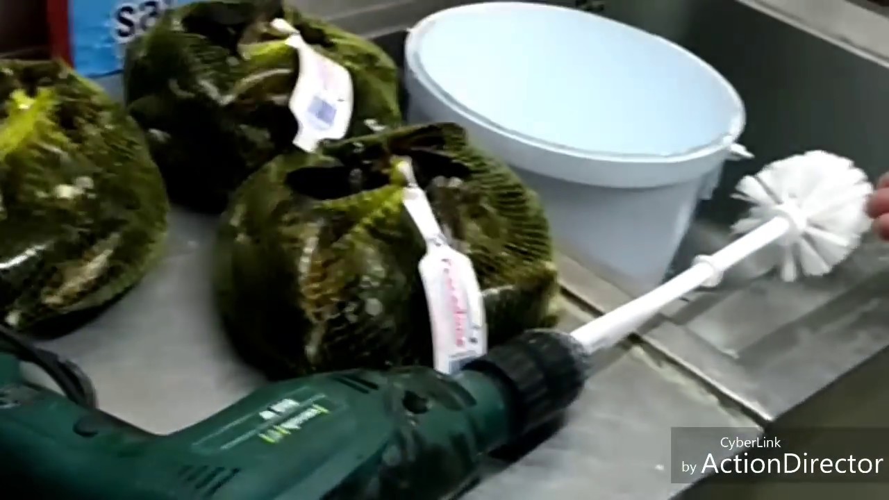 como limpiar mejillones en 40 segundos