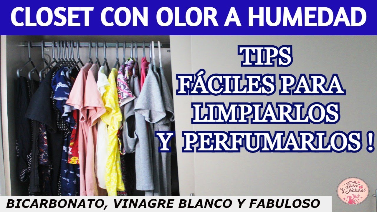 como quitar el olor a rancio de un armario