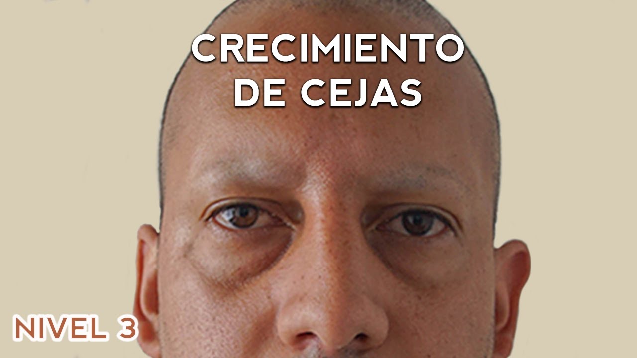 cuanto tardan en crecer las cejas