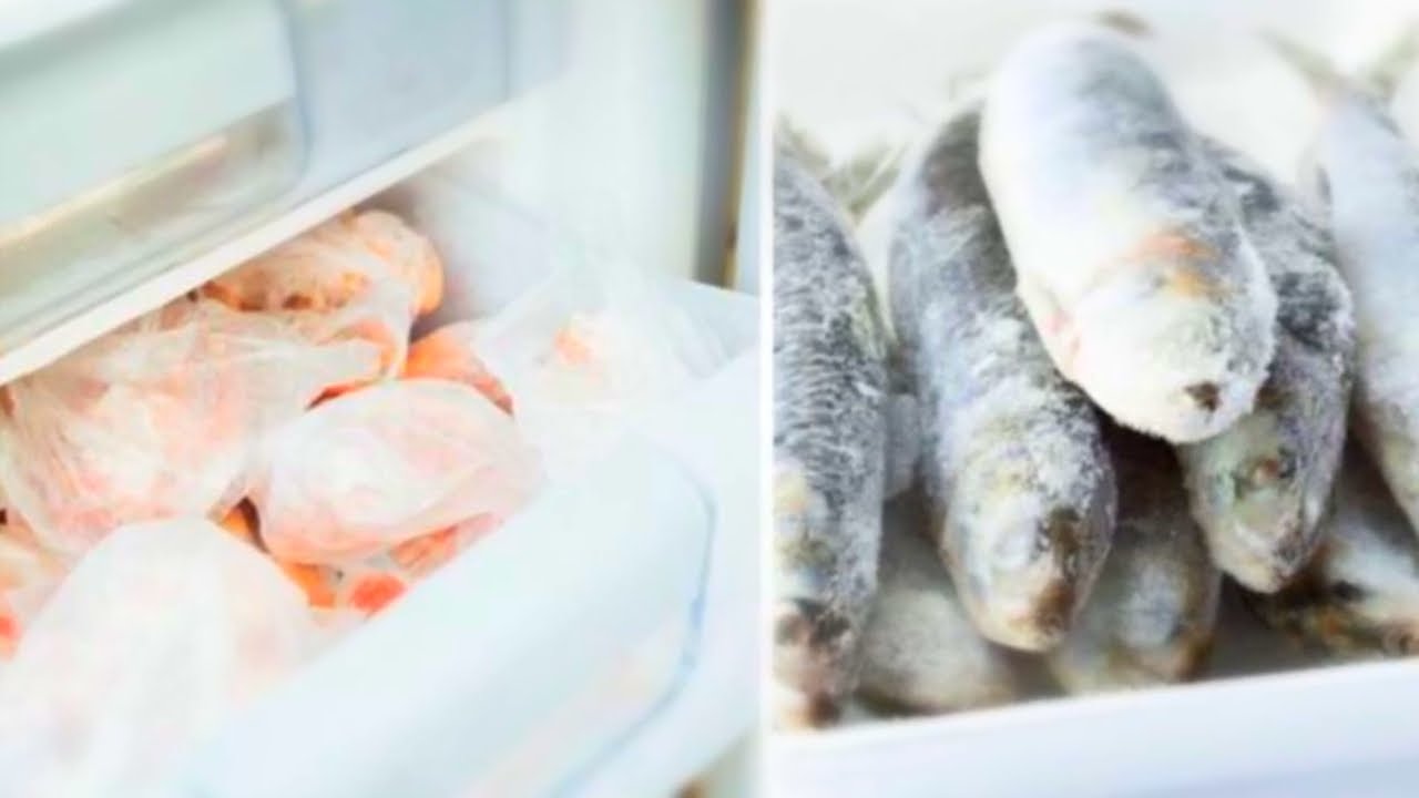 cuanto tiempo puede estar congelado el pescado