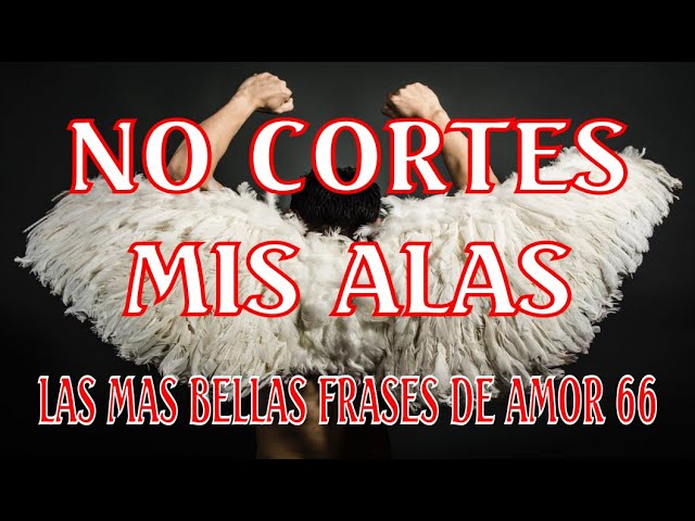 frases de alas
