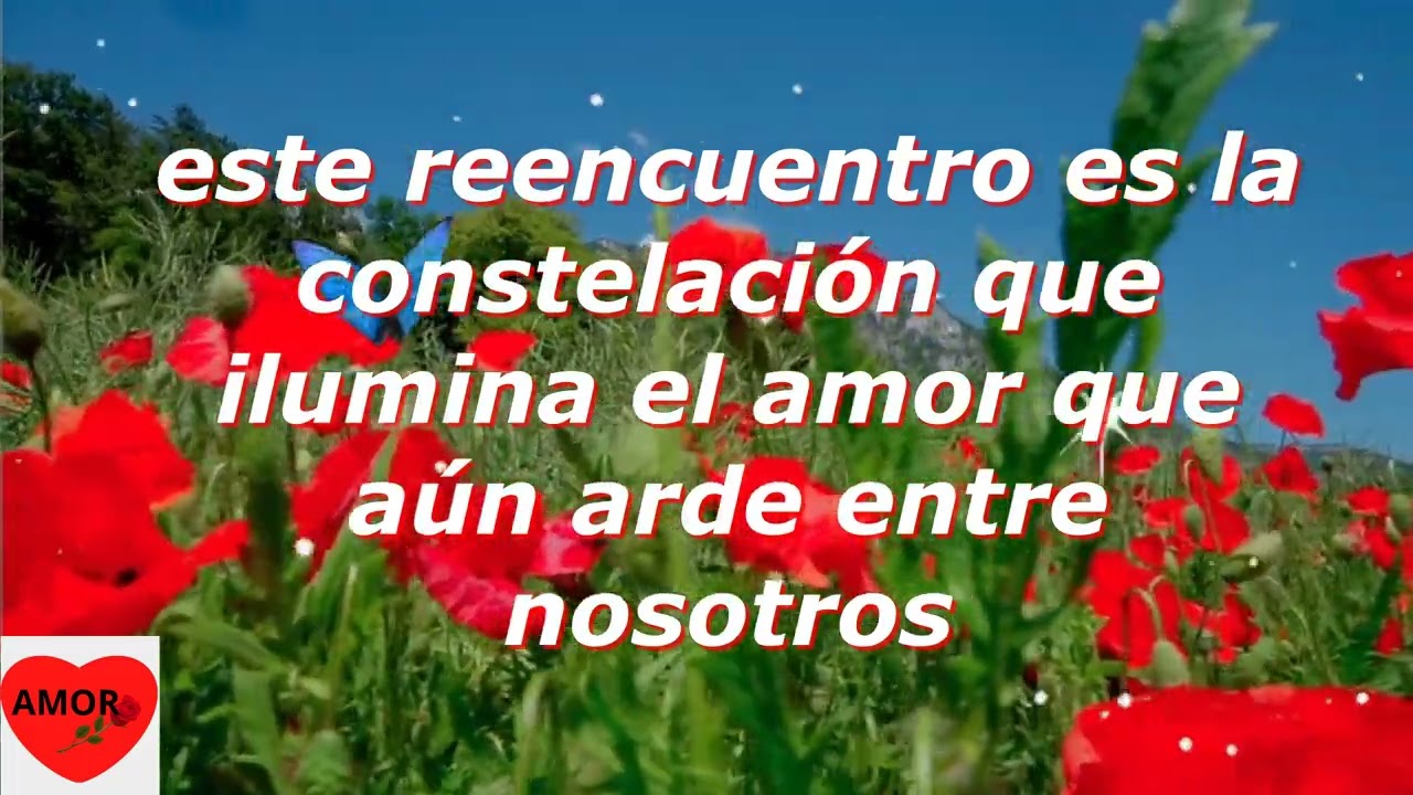 frases de reencuentro