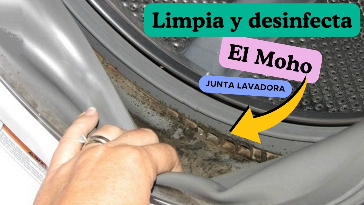 limpiar moho lavadora