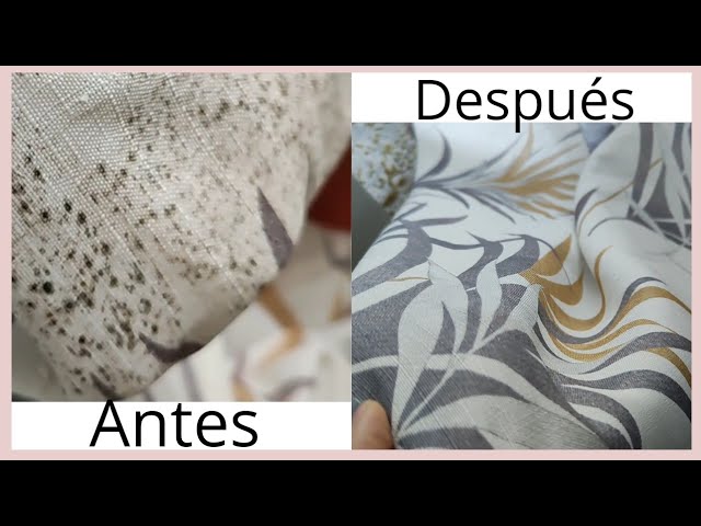 manchas de humedad ropa