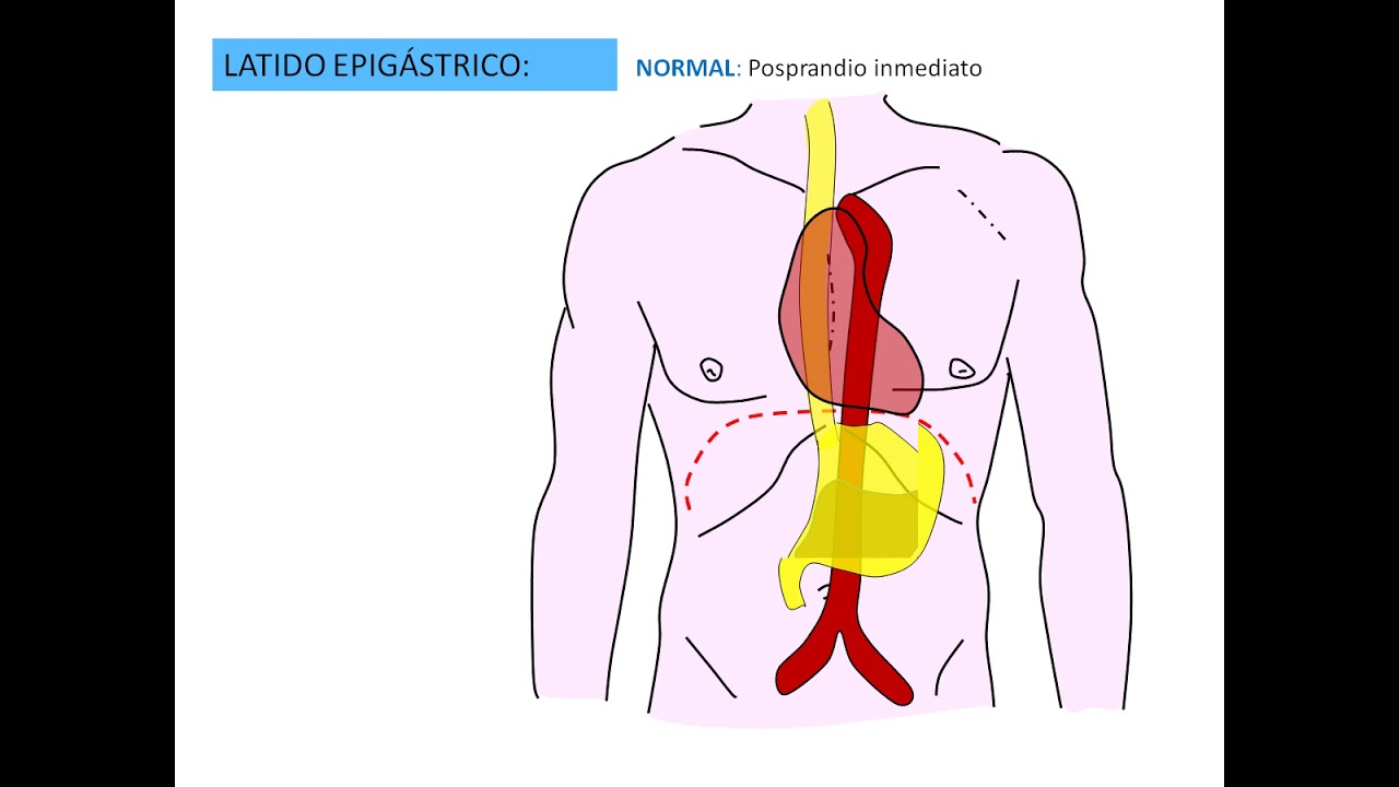 palpitación en la boca del estómago