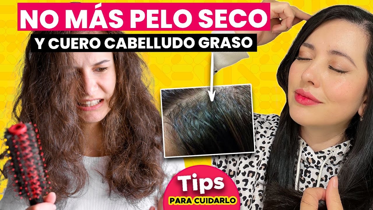 pelo graso en las raices y seco en las puntas
