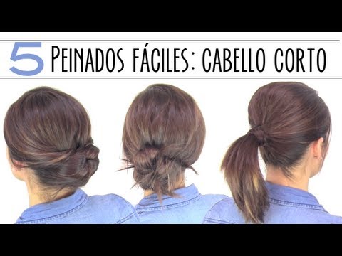 recogidos faciles media melena