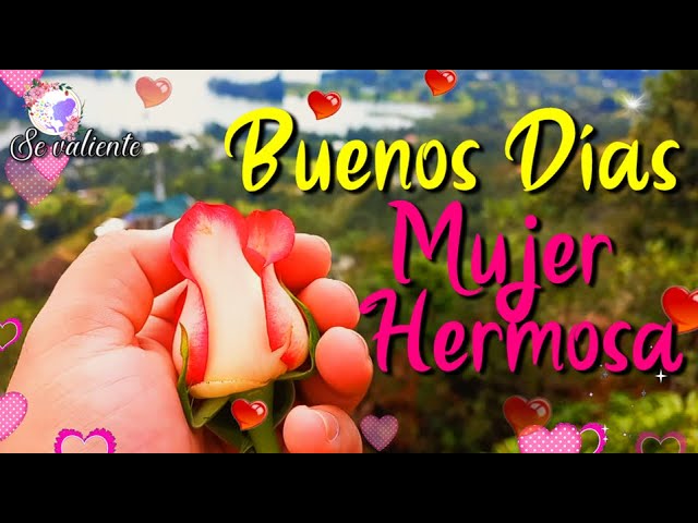 rosas buenos dias