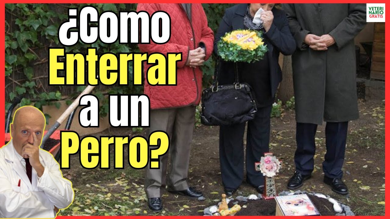 se puede tirar un perro muerto a la basura