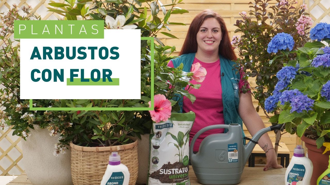 arbustos con flor resistentes al frío