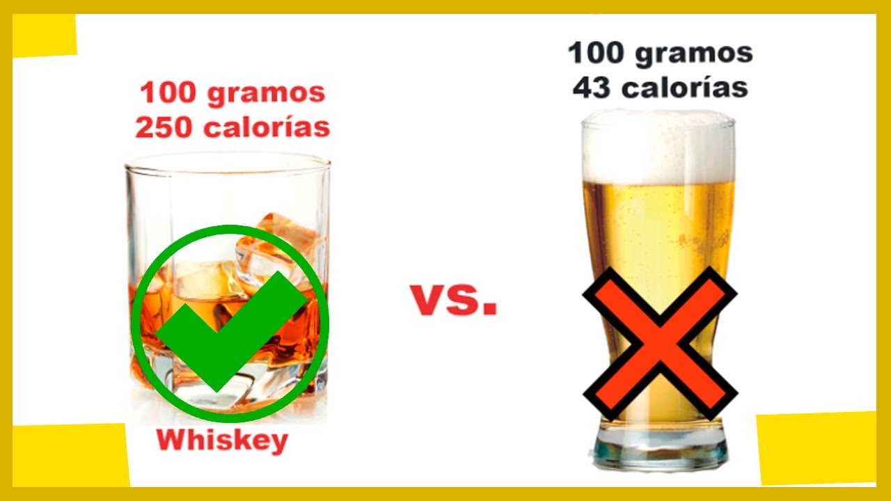 bebidas que no engordan bar