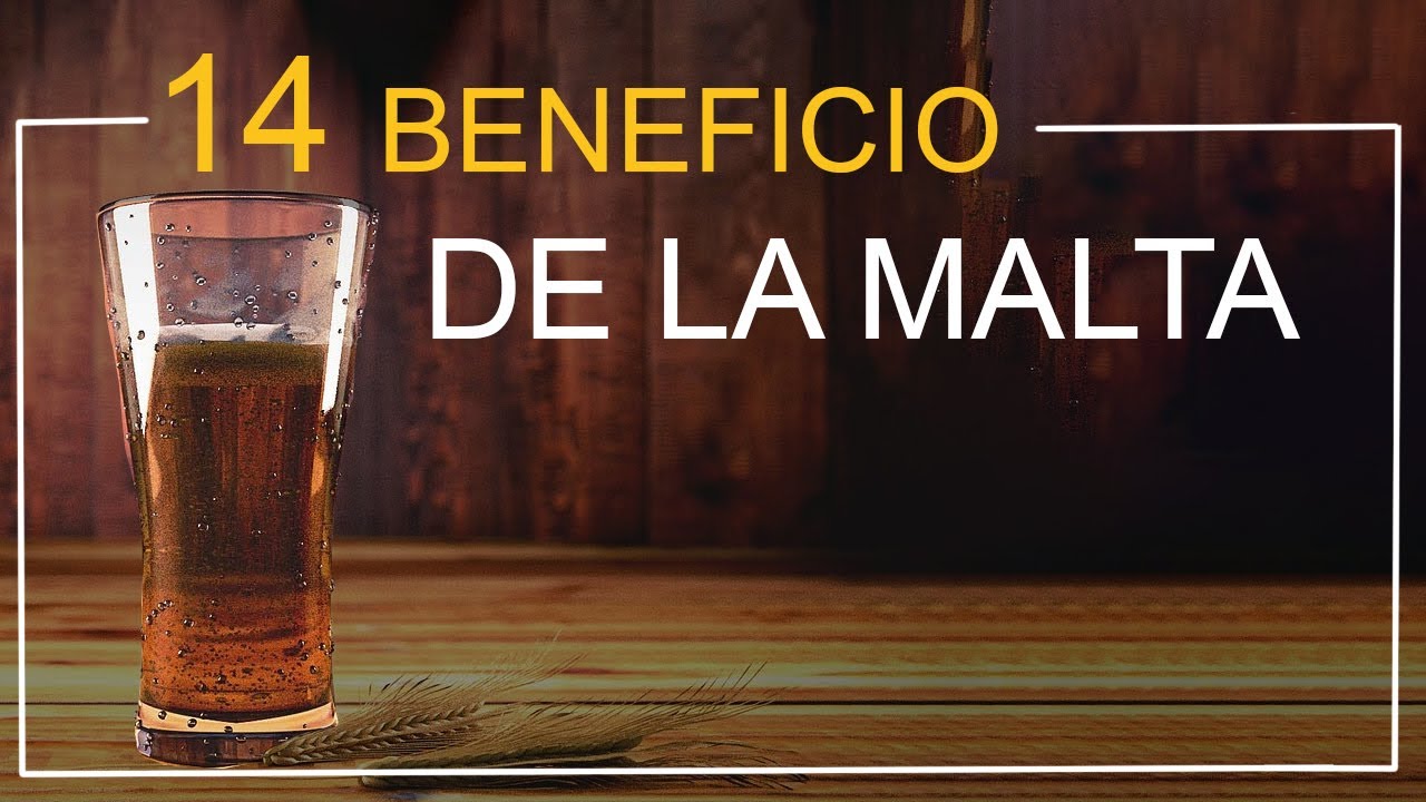 cebada malta y achicoria propiedades