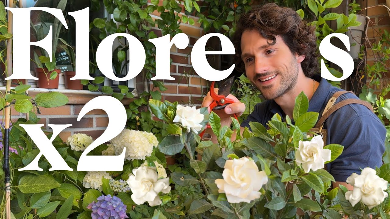 como podar la gardenia