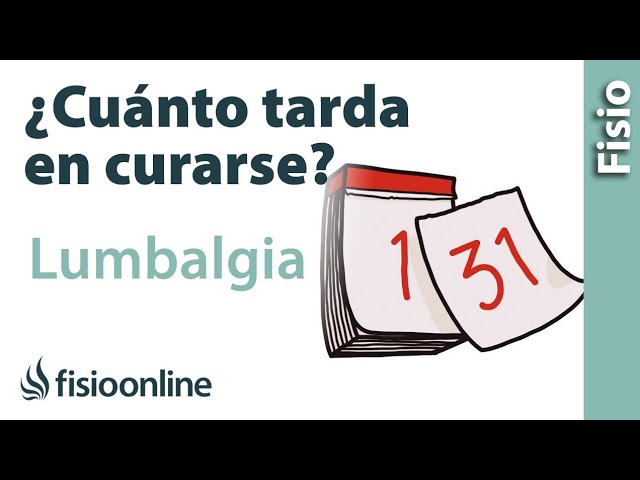 dias de baja por lumbalgia