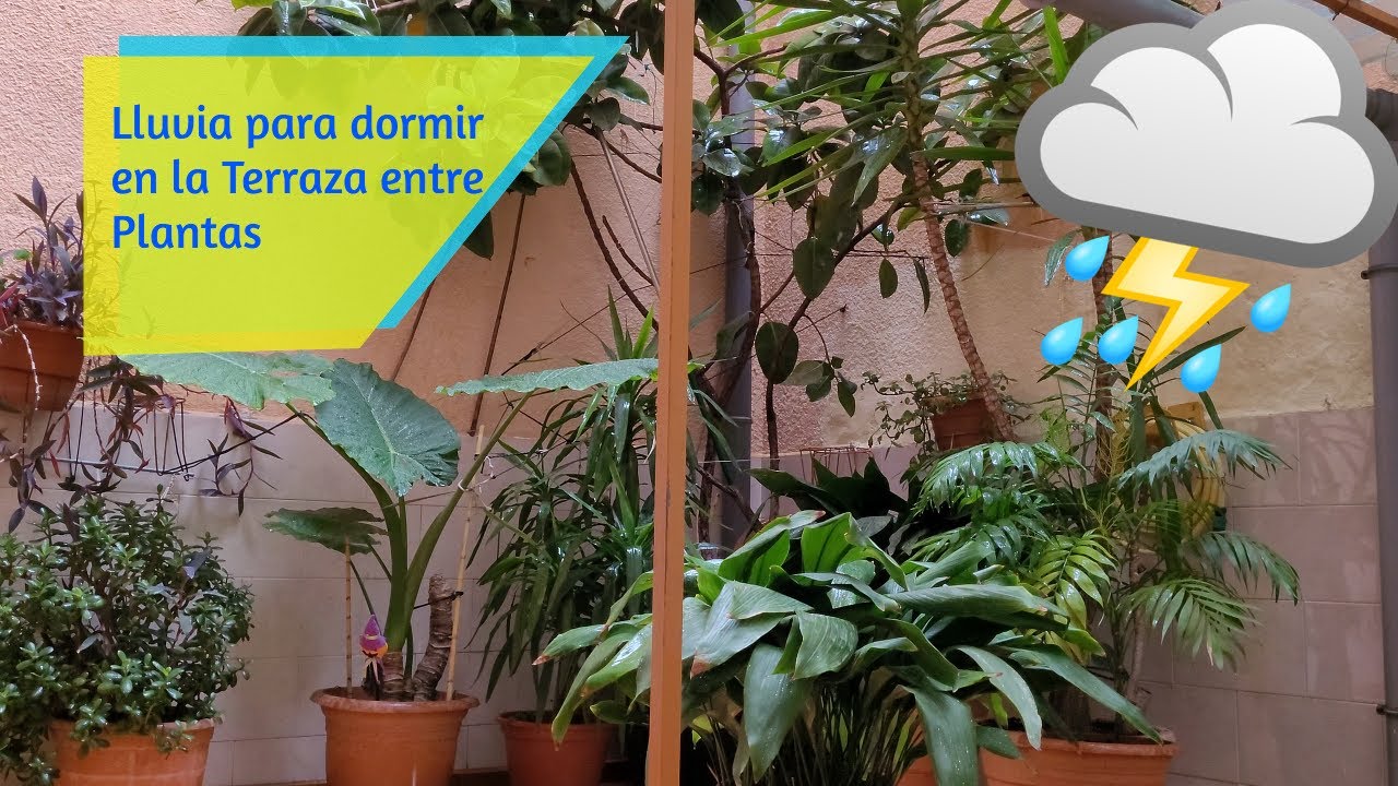 dormir en la terraza