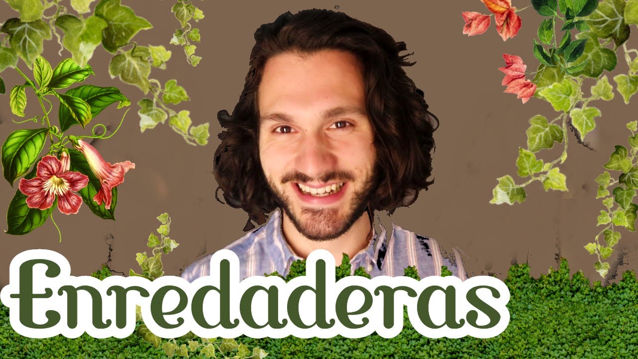 enredadera perenne con flor