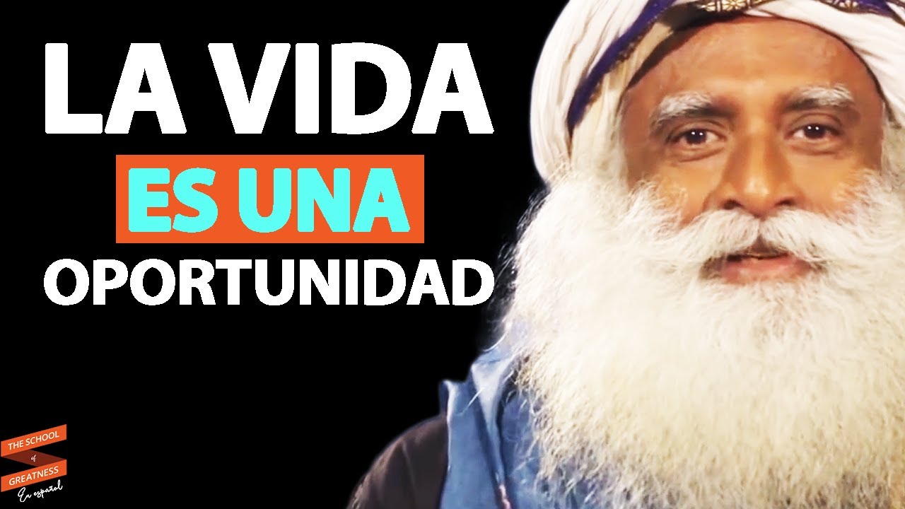 frases de oportunidades de la vida