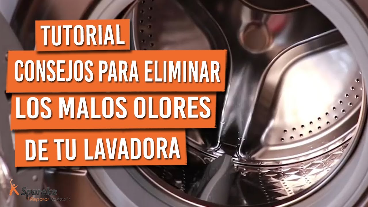 lavadora huele mal