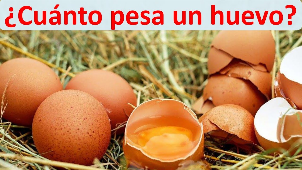 peso de un huevo