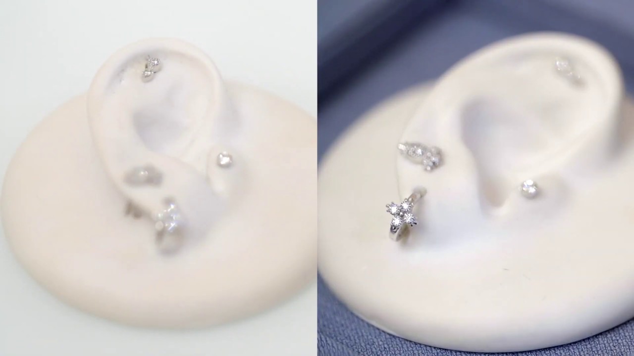 piercing tragus aristocrazy