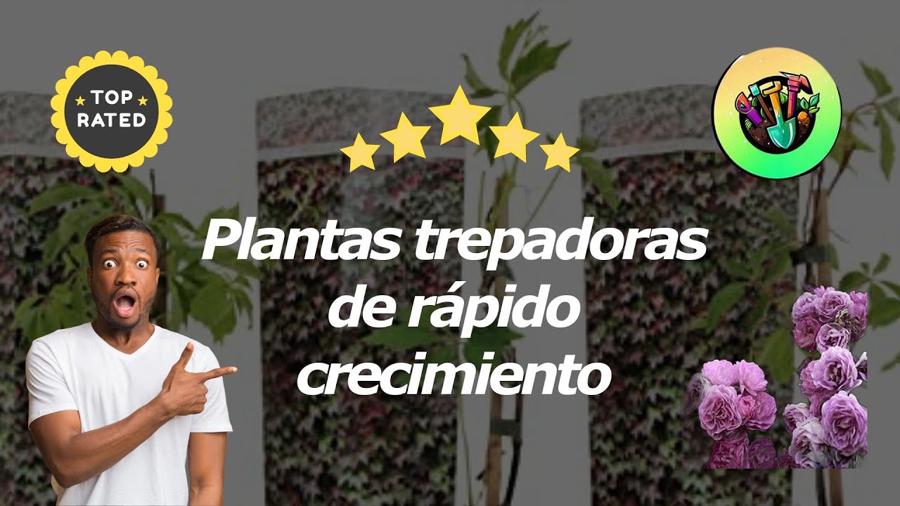 planta trepadora crecimiento rapido