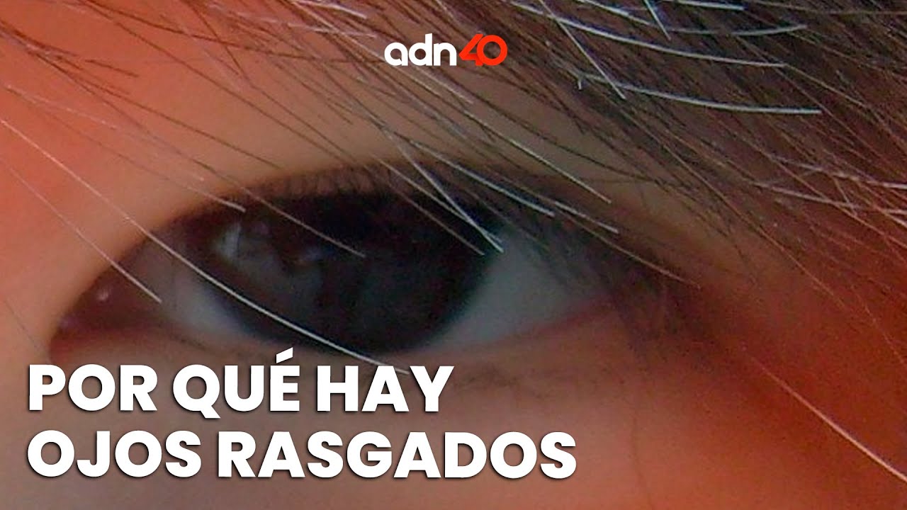 porque los chinos tiene los ojos rasgados