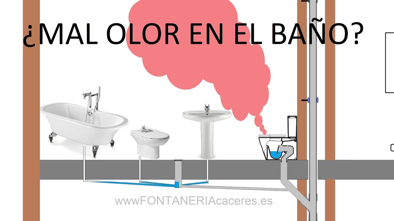 productos para el mal olor del inodoro