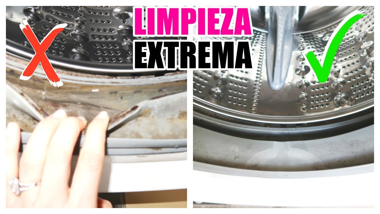 quitar moho de la goma de la lavadora